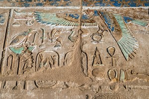 FAUCON EGYPTIEN SYMBOLE DU DIEU HORUS, HIEROGLYPHES EGYPTIENNES ECRITURE SACREE FIGURATIVE, DOMAINE D'AMON, TEMPLE DE KARNAK, SITE DE L'EGYPTE ANTIQUE DE LA XIII EME DYNASTIE, PATRIMOINE MONDIAL DE L'UNESCO, LOUXOR, EGYPTE, AFRIQUE 