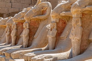 DROMOS ALLEE DE SPHINX CRIOCEPHALES A TETE DE BELIER A CORNES RETOURNEES, ENTREE DU TEMPLE DE KARNAK, SITE DE L'EGYPTE ANTIQUE DE LA XIII EME DYNASTIE, PATRIMOINE MONDIAL DE L'UNESCO, LOUXOR, EGYPTE, AFRIQUE 