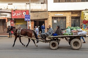 MARKET FARMER AND HIS FAMILY GOING TO THE MARKET WITH HIS HORSE AND TRAILER FULL OF VEGETABLES, CAIRO, EGYPT, AFRICA