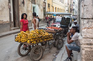 VENDEURS DE FRUITS ET LEGUMES DANS LA RUE (HABANA VIEJA), LA HAVANE, CUBA, CARAIBES 