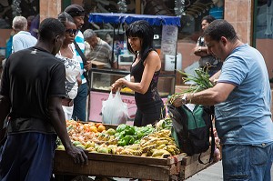 VENDEUR DE FRUITS ET LEGUMES DANS LA RUE (HABANA CENTRO), LA HAVANE, CUBA, CARAIBES 