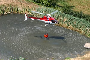 HELICOPTERE BOMBARDIER D'EAU, FEU DE FORET MASSIF DES MAURES, VAR (83), JUILLET 2003, FRANCE 