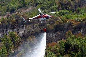 HELICOPTERE BOMBARDIER D'EAU, FEU DE FORET MASSIF DES MAURES, VAR (83), JUILLET 2003, FRANCE 