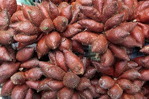 ETALAGE DE SALAKS OU FRUITS SERPENTS, THAILANDE, ASIE 